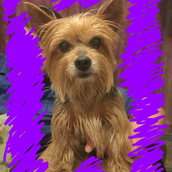 Meet your Posher, Jillian - Picture 1 of 1